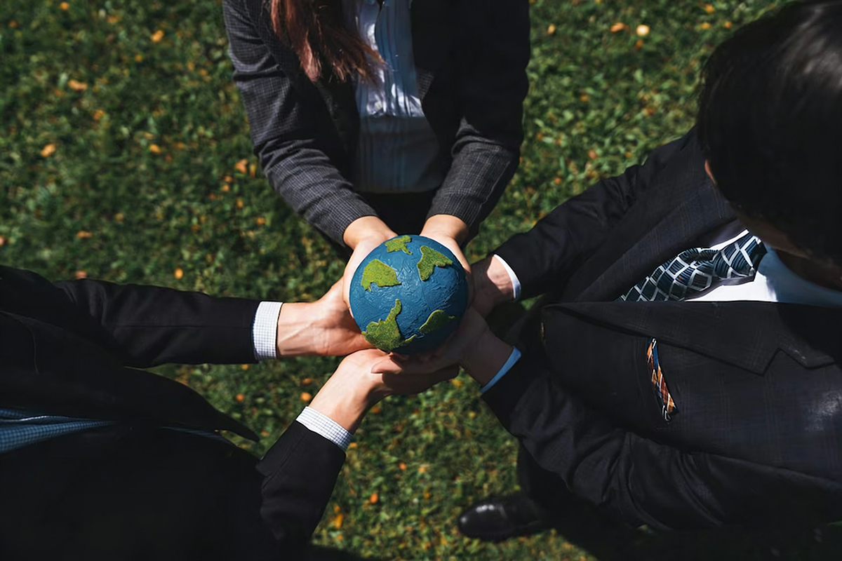 w-full h-full object-cover